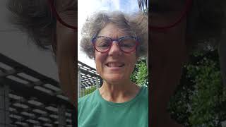 Galápagos Tortoise Breeding