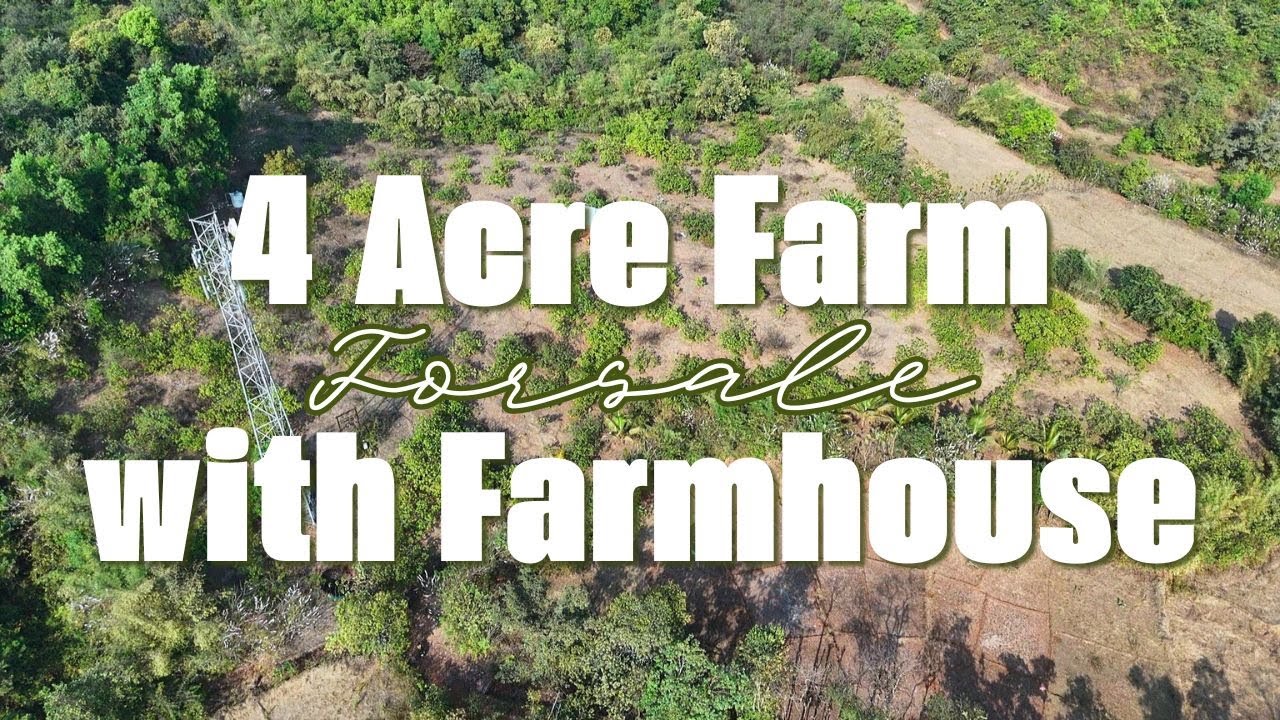 🌿Premium 4 Acre Income-Generating Farm Land for Sale – Gavane, Lanja | #realestate #farm #property 🌿