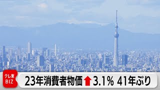 23年の消費者物価3.1％上昇　41年ぶりの水準（2024年1月19日）