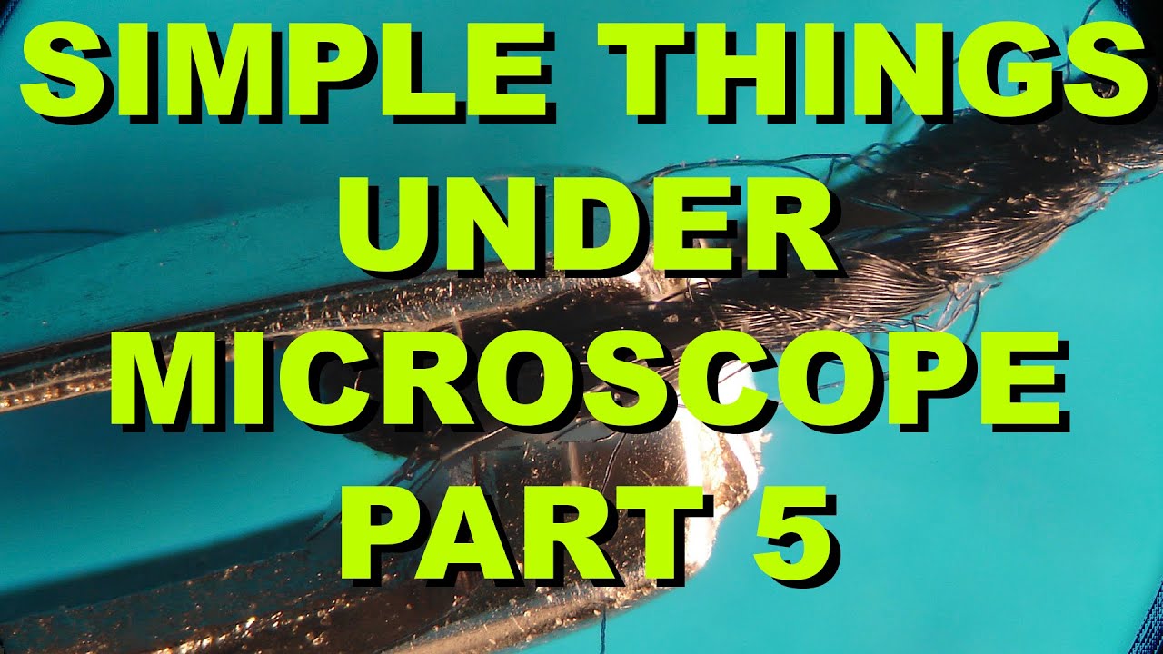 Simple things under microscope. Part 5. (Gewöhnliche Dinge unter dem ...