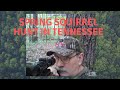 Spring Squirrel Hunt in Tennessee