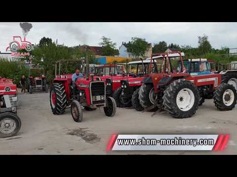   265 ماسي فرغوسون