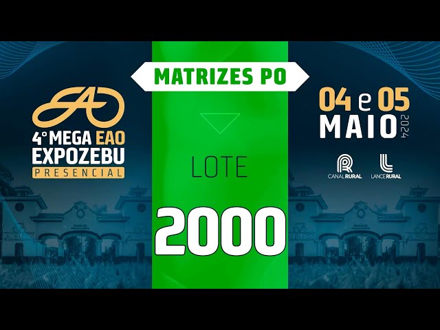 LOTE 2000   EAO ARY 113,114