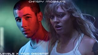 Nick Jonas & Tove Lo - Levels / True Disaster (Mashup)
