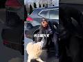 見知らぬ犬が男性に吠えた衝撃の理由