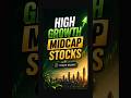 4 Midcap Growth Theme Stocks to Keep on Your Radar | Trade Brains