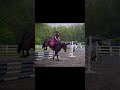 It Was A Little Soggy Today 