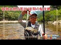 尺も出る川・後期の日置川で良型アユ狙い
