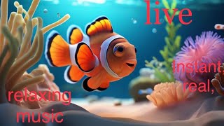 🐳Relax your mind: real pictures and relaxing music.🐬 At this time, 🐟the real life ocean fish tank 🐠