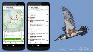 eBird Tips and Trick: Maximizing Your Use of the World’s Largest Citizen Science Database