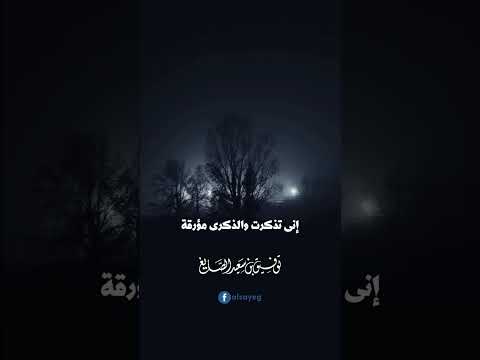 أنا اتجهت إلى الإسلام في بلد تجده كالطير مقصوصا جناحاه