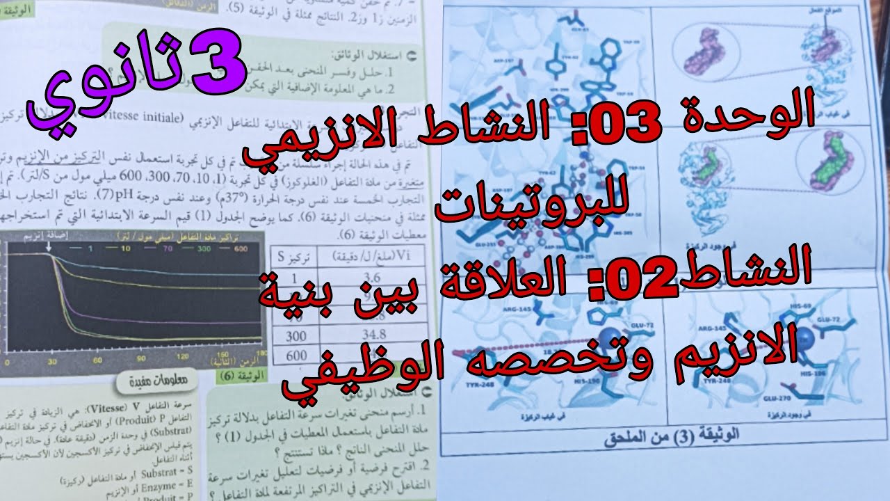 الوحدة3 النشاط الانزيمي للبروتينات النشاط2:العلاقة بين بنية الانزيم وتخصصه الوظيفي علوم ثالثة ثانوي