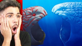 LE BLOOP vs LE PLUS GROS BLOOP AU MONDE !! (incroyable)