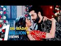 Dil ibadat kar raha hai full hindi song veer  bani nagin 5 title song