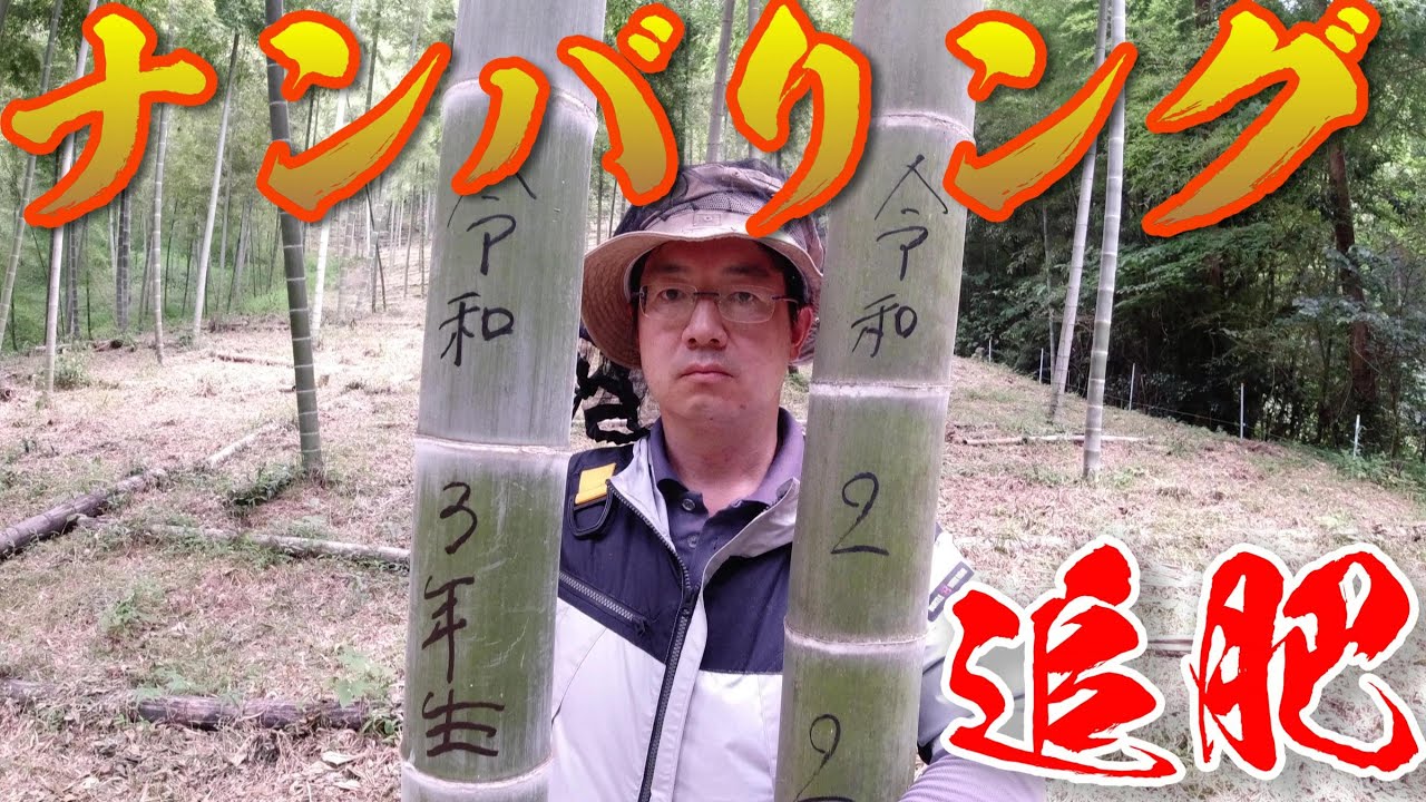 竹の観賞と栽培 (1981年) 竹の観賞と栽培 (1981年) 竹の観賞と栽培 (1981年) | 上田