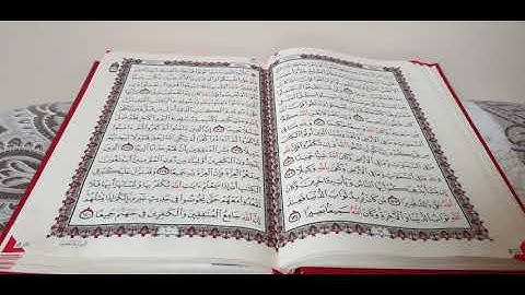 #سورة_النساء من الآيه ١٢٨ إلى الآيه ١٣٤ #القران_الكريم #المصحف_المعلم #الشيخ_المنشاوى