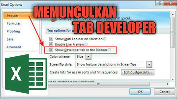 CARA MENAMPILKAN TAB DEVELOPER DI  EXCEL 2007