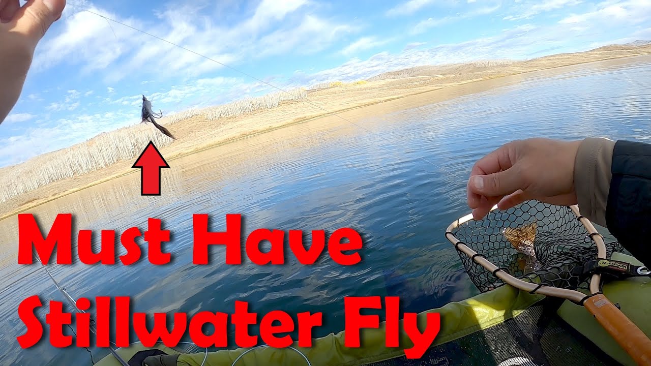 A Must Have Setup for Strawberry Reservoir Fly Fishing YouTube