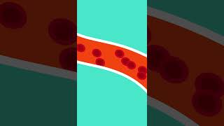What Is Cardiovascular Disease? | Heart Problems | Stem Cell Therapy | Treatment For Cardiovascular