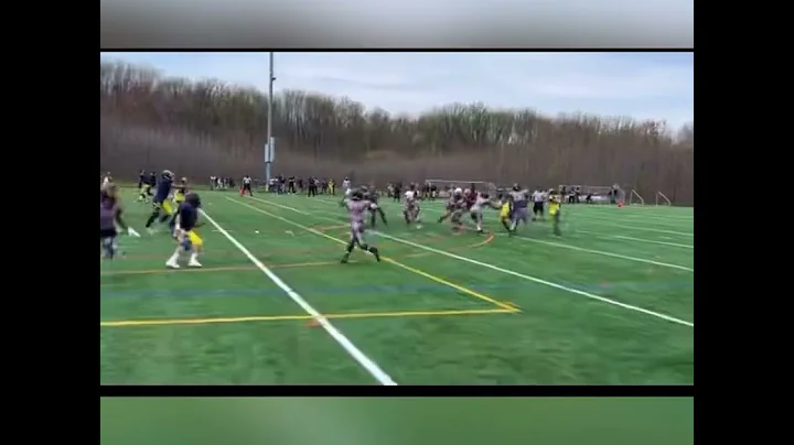 Terence Barnes 12U Spring