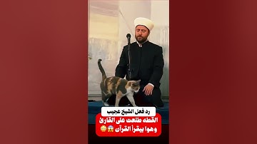 القطة طلعت على القارئ وهوا بيقرأ القرآن 😱😳
