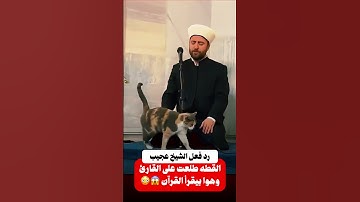 القطة طلعت على القارئ وهوا بيقرأ القرآن 😱😳
