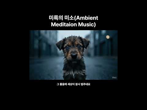 100일수행 프로젝트 Day 94  미륵의 미소, 무문관 제1칙 조주구자 #자비의알고리즘