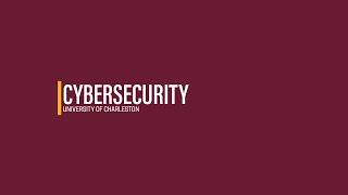 Celebrity Inside The Program | Cybersecurity Net Worth