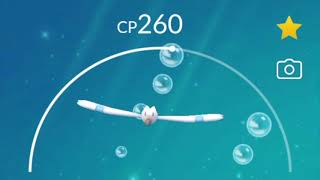 Pokemon GO Wingull Pokedex 360 Degree View