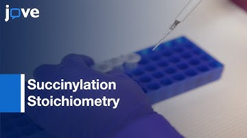 Site-Specific Protein Lysine Acetylation: Acquisition Mass Spectrometry l Protocol Preview