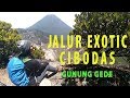 JALUR EXOTIC CIBODAS Gunung Gede