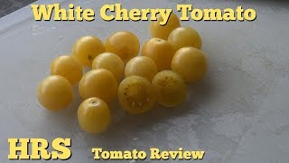 ⟹ White Cherry Tomato | Solanum lycopersicum | Tomato Review 2017