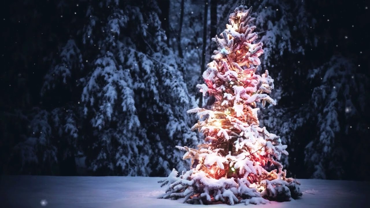 Bing Crosby - White Christmas Piotr Klima