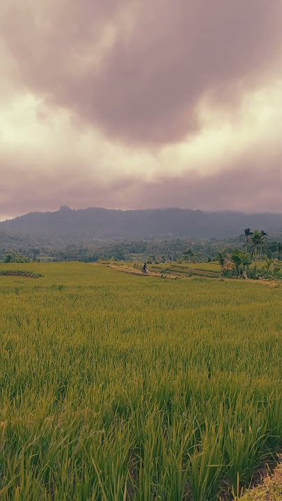 Robbi yassir lana wala tu'sir alaina fii kulli haalin.. 🤲🤲. #allah #quran #islam #tilawat