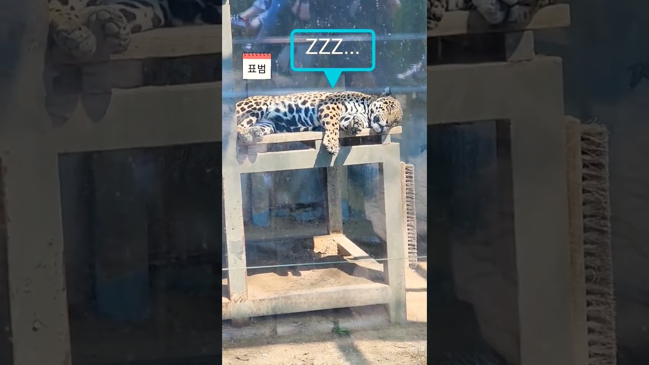 전주동물원 이야기