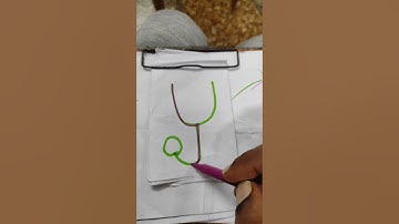 one line draws the entire shape and the line can