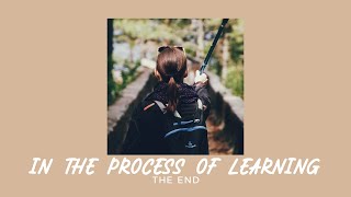 The End - In The Process Of Learning (Sped Up)