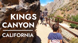 Kings Canyon National Park: Boyden Cavern & Grant Grove. Giant Sequoia Trees with Kids in California