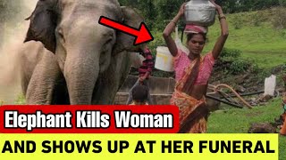 How An Elephant Showed Up At A Womans Funeral To Attack Her Again