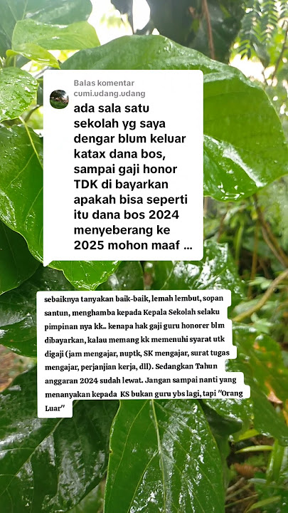 Gaji Guru Honor Bos belum dibayarkan! #guru #honorer #gurupppk #pppk #pppkguru #gaji #danabos