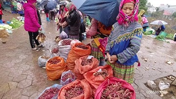 Chợ phiên bán nhiều thảo dược tình yêu nhất tây bắc | Miền núi tây bắc