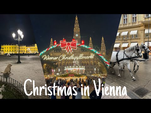 Travel vlog11_ウィーンのクリスマスを大満喫！_大学生の一人旅