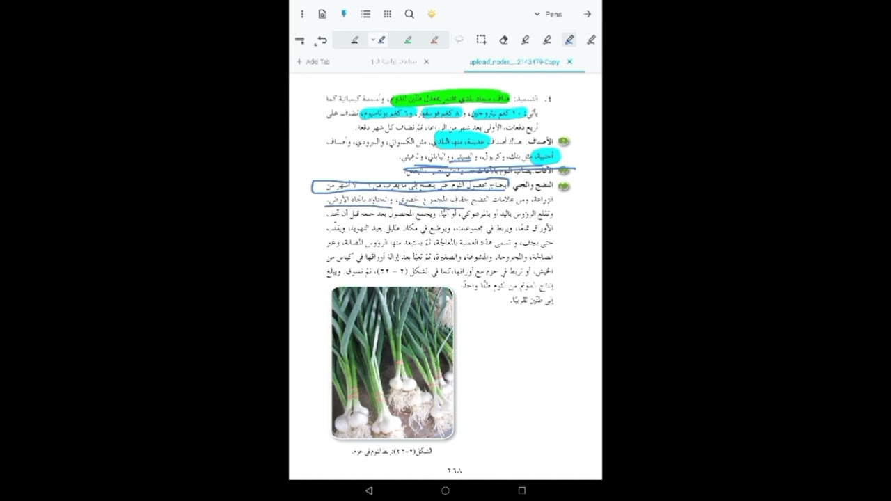 الفصيلة النرجسية 