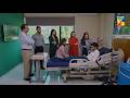 Puri Zindagi Ki Kamai Khak Mein Mil Gayi...! #nabeelzuberi #minsamalik #hadddrama - HUM TV