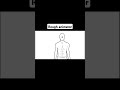 rough animator