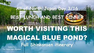 Shirogane Blue Pond and the hidden gems in Furano and Biei regions! Hokkaido Day 3 of 16