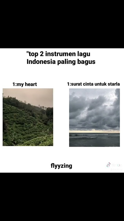 top 2 instrumen lagu indonesia paling bagus | cr:tiktok | #itsmeaninn #4u #masukberanda #instrumen