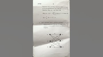 Introduction to theory and coding sem 6 bsc maths previous year question paper 2023 delhi university