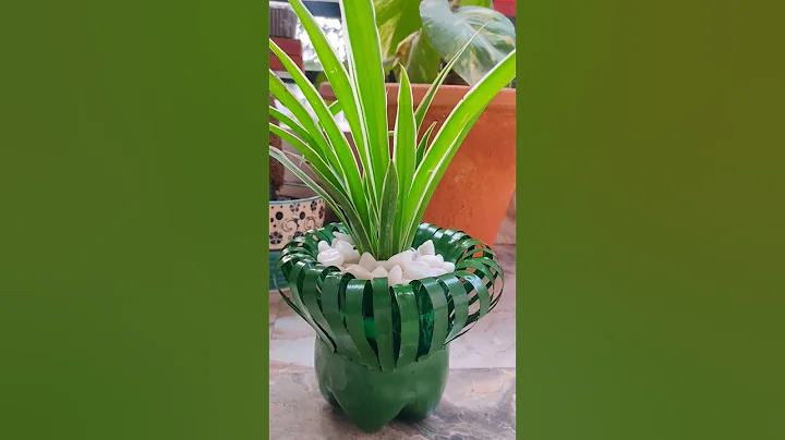 DIY planter from old bottle -tutorial on my channel #shorts #youtube #diy #shortsfeed #viral #reuse
