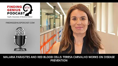 Malaria Parasites and Red Blood Cells: Teresa Carv...